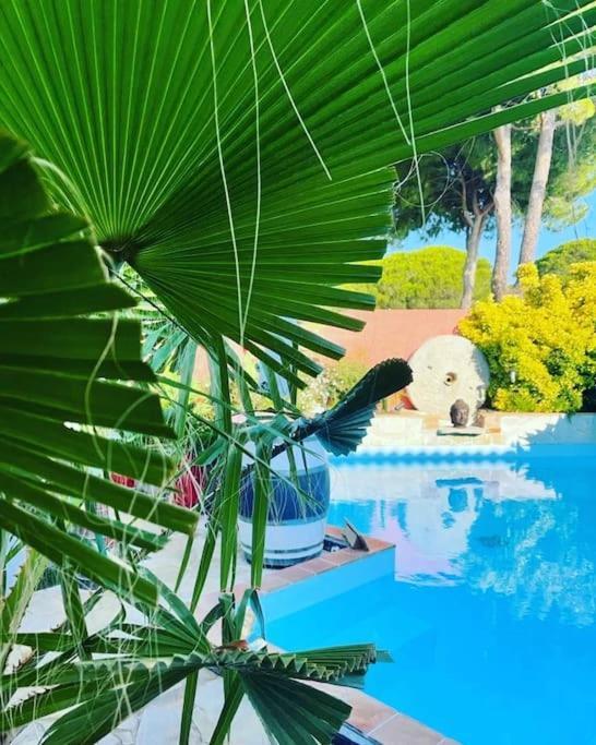 Hebergement Chambre D'Hotes Grau Du Roi Mas Des Marines Piscine Adult Only 勒格罗-迪鲁瓦 外观 照片